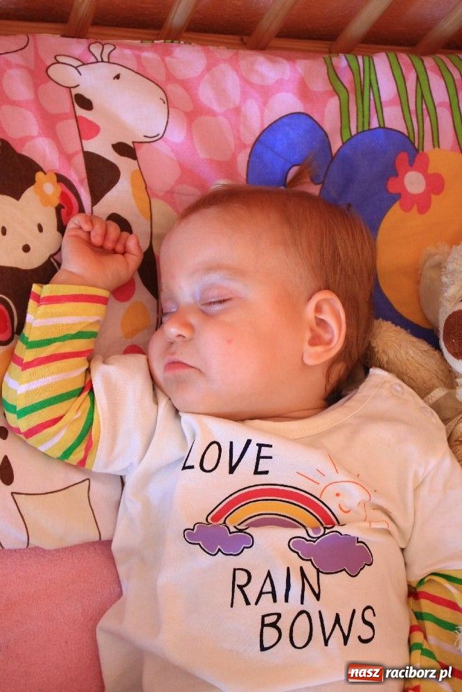 Zdjęcie w galerii na portalu naszraciborz.pl: Trojaczki z Bojanowa mają się świetnie! wiadomości z regionu