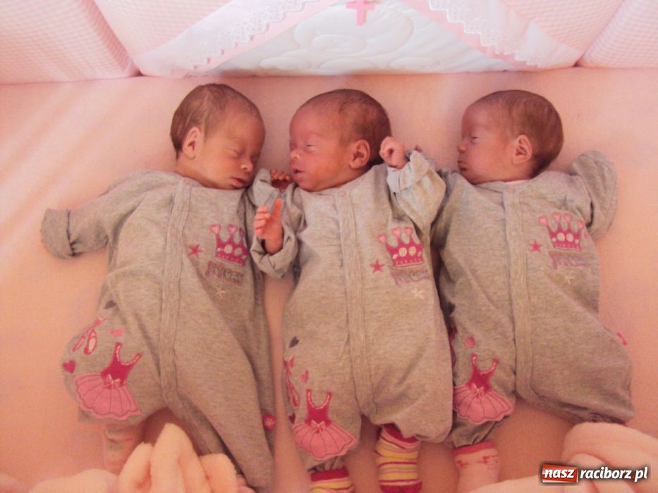 Zdjęcie w galerii na portalu naszraciborz.pl: Trojaczki z Bojanowa mają się świetnie! wiadomości z regionu
