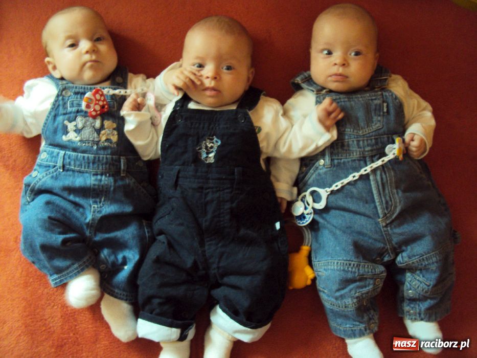 Zdjęcie w galerii na portalu naszraciborz.pl: Trojaczki z Bojanowa mają się świetnie! wiadomości z regionu