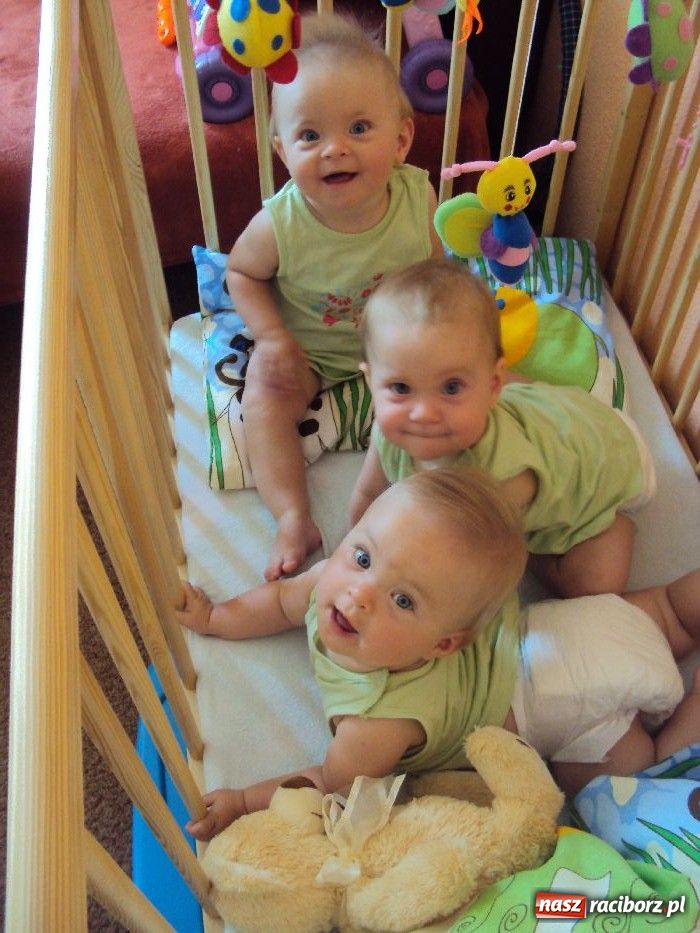 Zdjęcie w galerii na portalu naszraciborz.pl: Trojaczki z Bojanowa mają się świetnie! wiadomości z regionu