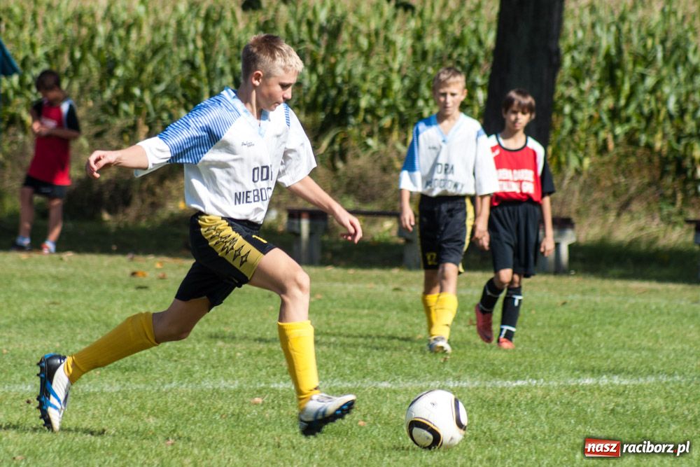 Zdjęcie w galerii na portalu naszraciborz.pl: Nieboczowy rozstrzelały Borucin wiadomości z regionu