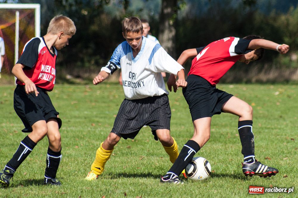 Zdjęcie w galerii na portalu naszraciborz.pl: Nieboczowy rozstrzelały Borucin wiadomości z regionu