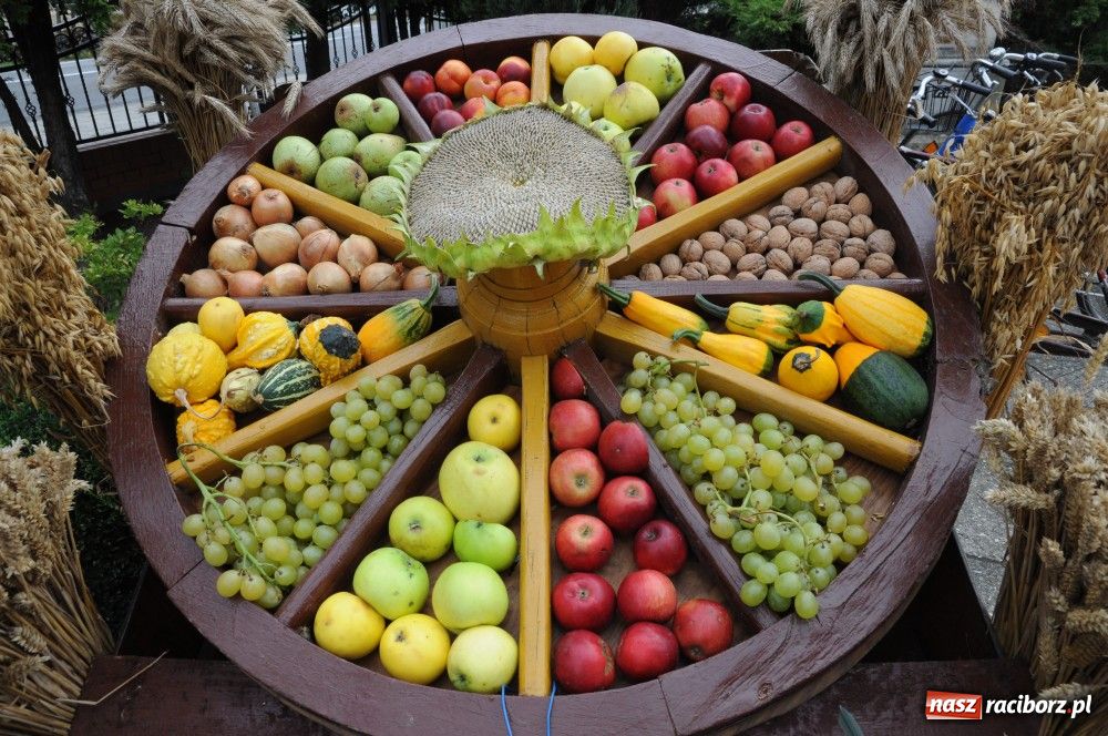 Zdjęcie w galerii na portalu naszraciborz.pl: Powiatowe święto plonów w Studziennej wiadomości z regionu