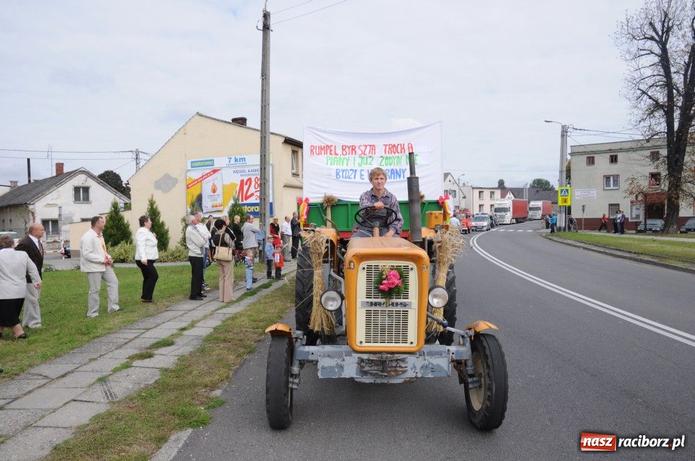Zdjęcie w galerii na portalu naszraciborz.pl: Powiatowe święto plonów w Studziennej wiadomości z regionu