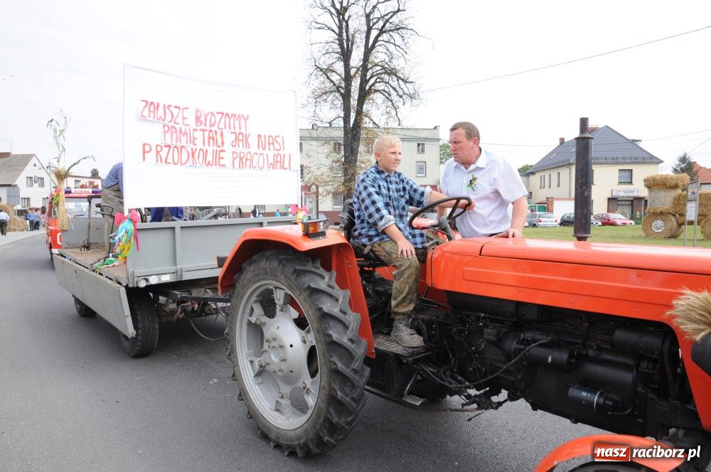 Zdjęcie w galerii na portalu naszraciborz.pl: Powiatowe święto plonów w Studziennej wiadomości z regionu