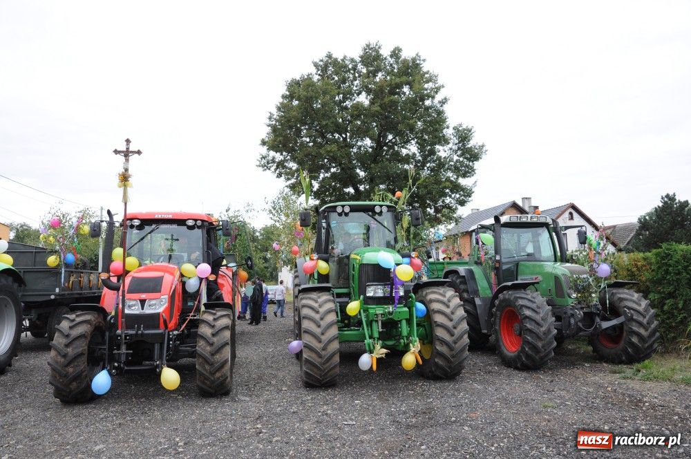 Zdjęcie w galerii na portalu naszraciborz.pl: Pawłów - dożynki na długim dystansie wiadomości z regionu
