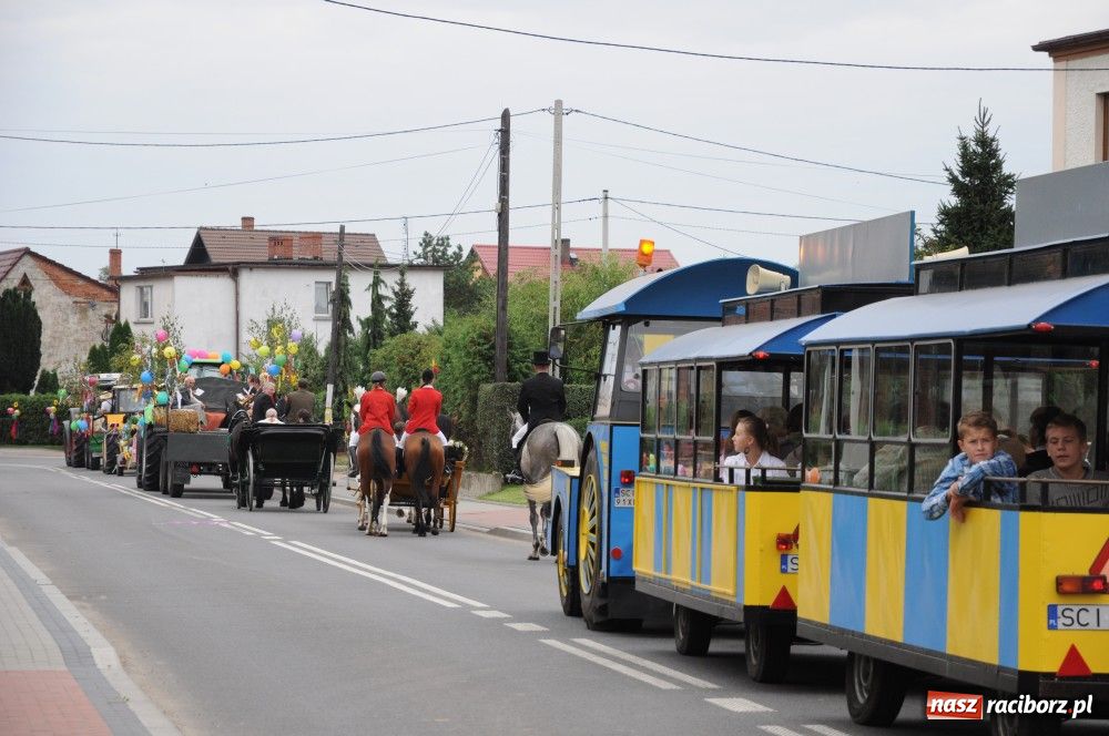 Zdjęcie w galerii na portalu naszraciborz.pl: Pawłów - dożynki na długim dystansie wiadomości z regionu