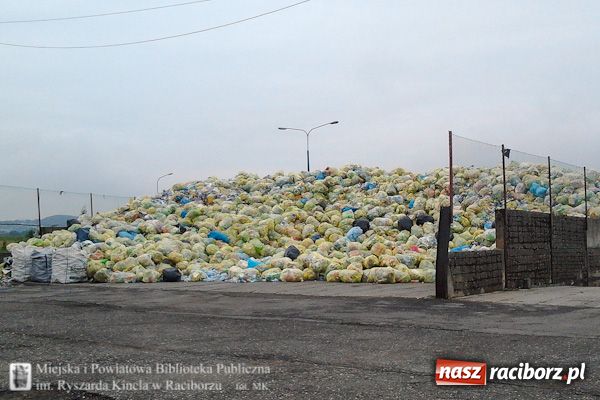 Zdjęcie w galerii na portalu naszraciborz.pl: Żywa lekcja ekologii w PK wiadomości z regionu