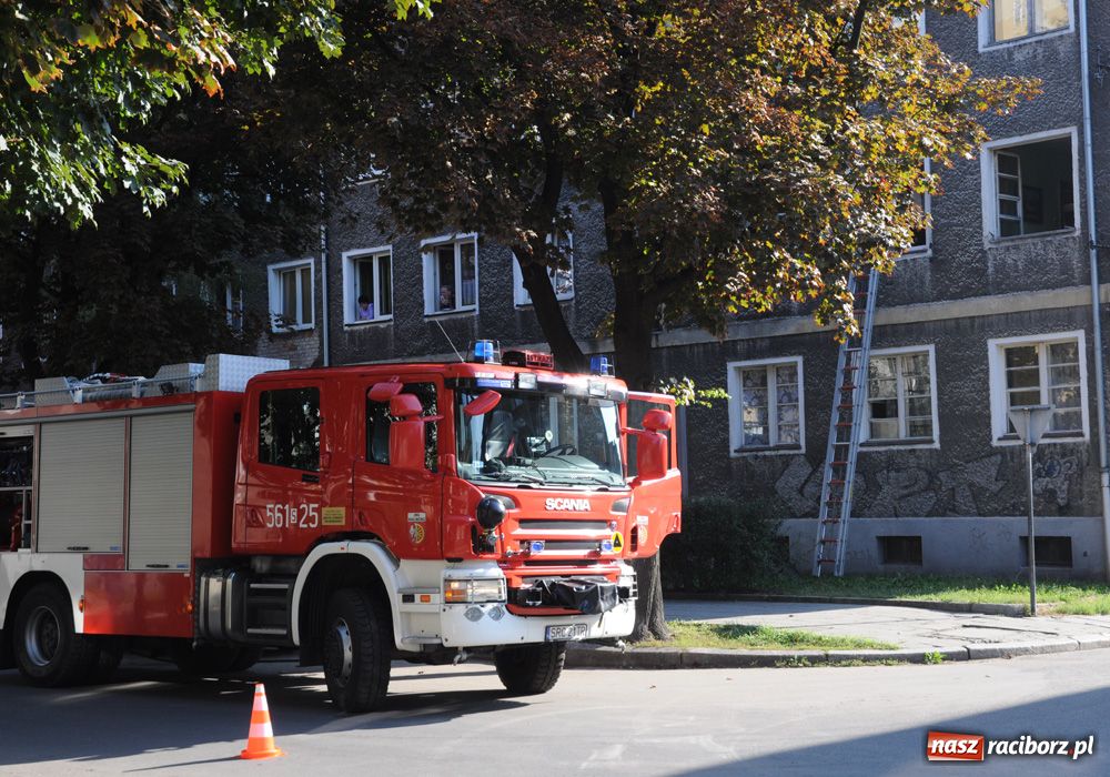 Zdjęcie w galerii na portalu naszraciborz.pl: Niedopałek spowodował pożar wiadomości z regionu