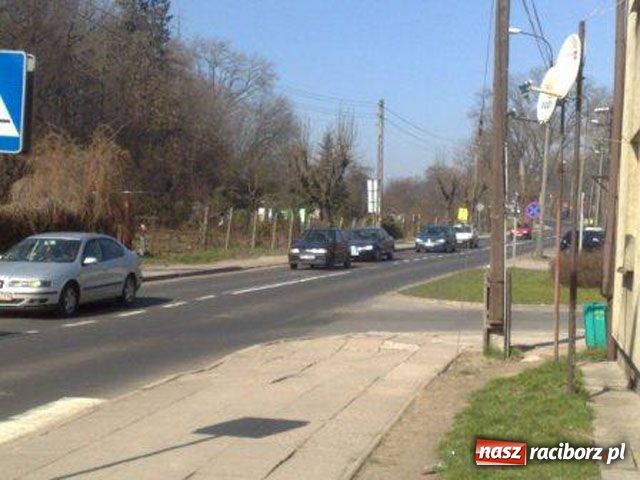 Zdjęcie w galerii na portalu naszraciborz.pl: Więcej problemów niż korzyści z nerki wiadomości z regionu