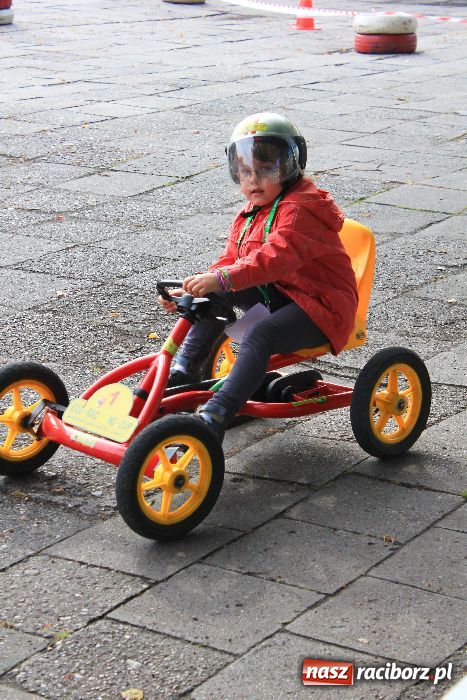 Zdjęcie w galerii na portalu naszraciborz.pl: Pikinik ekologiczny na placu Długosza wiadomości z regionu