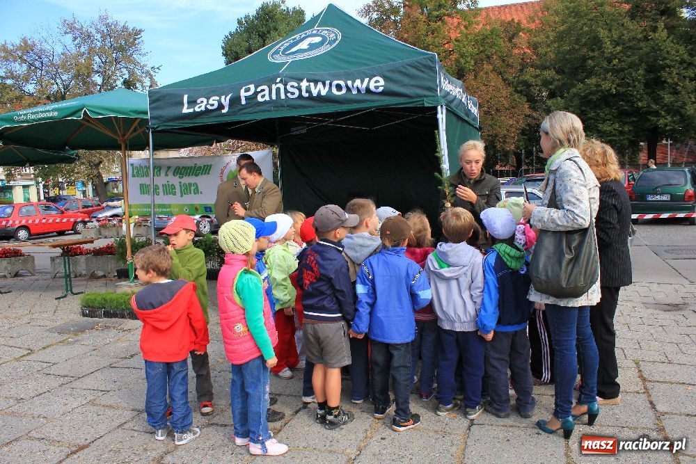 Zdjęcie w galerii na portalu naszraciborz.pl: Pikinik ekologiczny na placu Długosza wiadomości z regionu