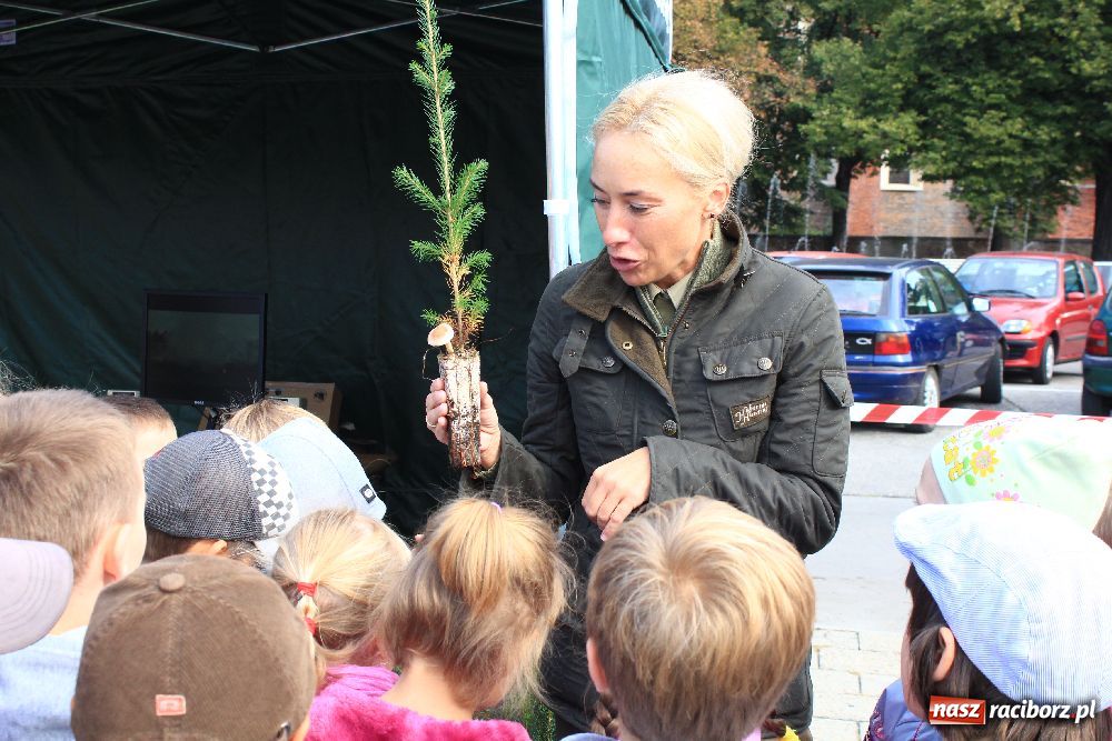 Zdjęcie w galerii na portalu naszraciborz.pl: Pikinik ekologiczny na placu Długosza wiadomości z regionu
