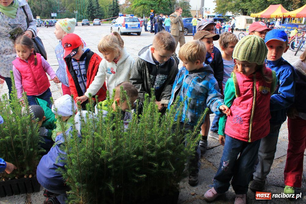 Zdjęcie w galerii na portalu naszraciborz.pl: Pikinik ekologiczny na placu Długosza wiadomości z regionu