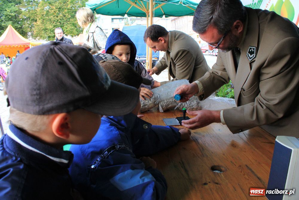 Zdjęcie w galerii na portalu naszraciborz.pl: Pikinik ekologiczny na placu Długosza wiadomości z regionu