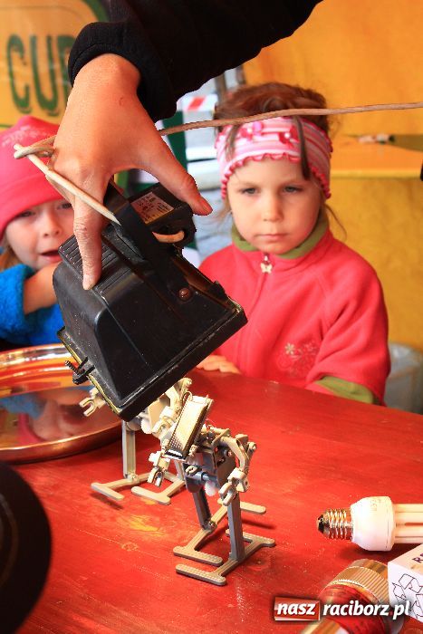 Zdjęcie w galerii na portalu naszraciborz.pl: Pikinik ekologiczny na placu Długosza wiadomości z regionu