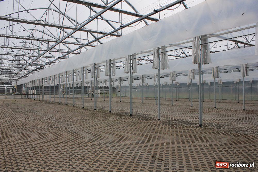 Zdjęcie w galerii na portalu naszraciborz.pl: Nowa wieża widokowa w Łężczoku wiadomości z regionu