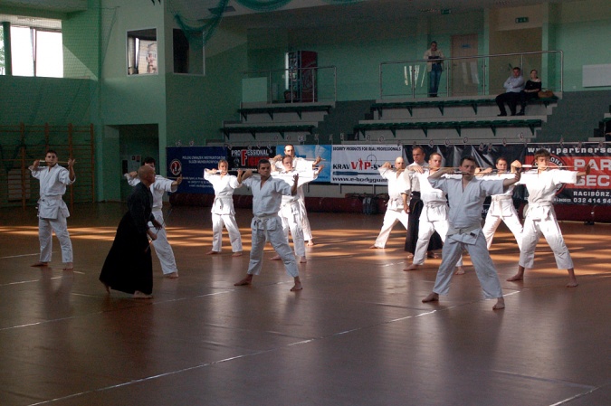 Zdjęcie w galerii na portalu naszraciborz.pl: Dziś pokazy sztuk walki w Arenie Rafako wiadomości z regionu