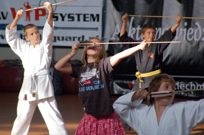 Zdjęcie w galerii na portalu naszraciborz.pl: Dziś pokazy sztuk walki w Arenie Rafako wiadomości z regionu