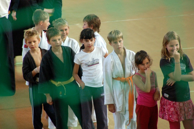 Zdjęcie w galerii na portalu naszraciborz.pl: Dziś pokazy sztuk walki w Arenie Rafako wiadomości z regionu