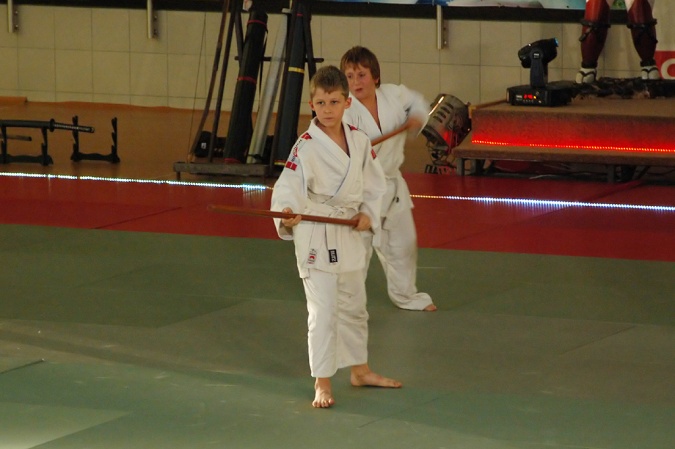 Zdjęcie w galerii na portalu naszraciborz.pl: Sztuki walki królowały w Arenie Rafako wiadomości z regionu