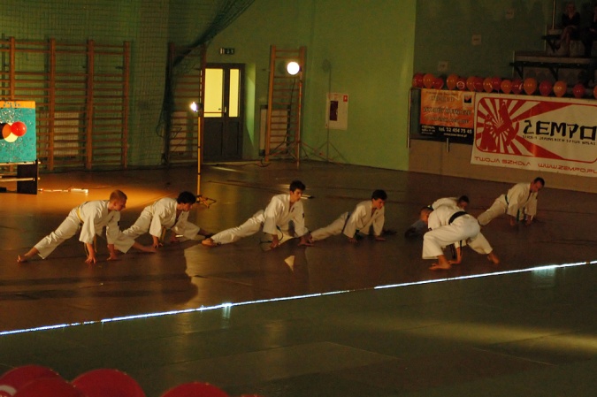 Zdjęcie w galerii na portalu naszraciborz.pl: Sztuki walki królowały w Arenie Rafako wiadomości z regionu