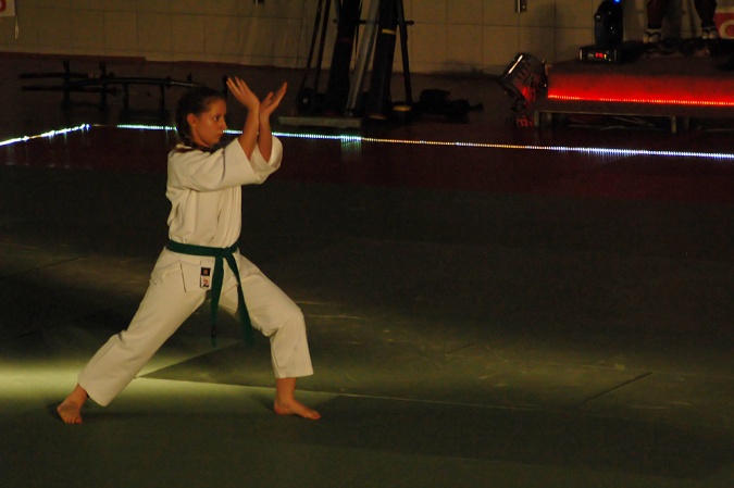 Zdjęcie w galerii na portalu naszraciborz.pl: Sztuki walki królowały w Arenie Rafako wiadomości z regionu