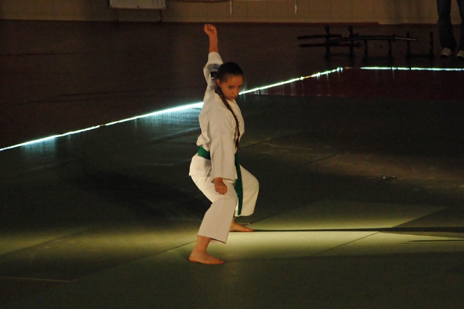 Zdjęcie w galerii na portalu naszraciborz.pl: Sztuki walki królowały w Arenie Rafako wiadomości z regionu