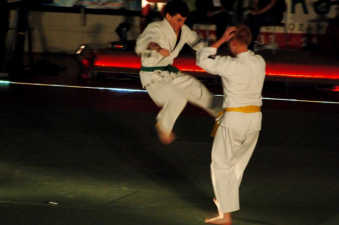 Zdjęcie w galerii na portalu naszraciborz.pl: Sztuki walki królowały w Arenie Rafako wiadomości z regionu