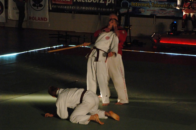 Zdjęcie w galerii na portalu naszraciborz.pl: Sztuki walki królowały w Arenie Rafako wiadomości z regionu