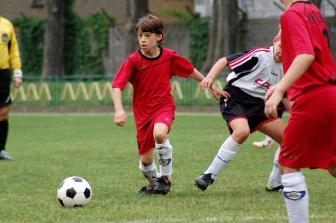 Zdjęcie w galerii na portalu naszraciborz.pl: Ikar pokonany przez Odrę wiadomości z regionu