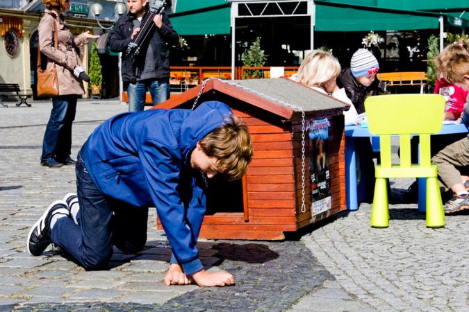 Zdjęcie w galerii na portalu naszraciborz.pl: Zerwijmy łańcuchy. Bądź bratem - nie katem! wiadomości z regionu