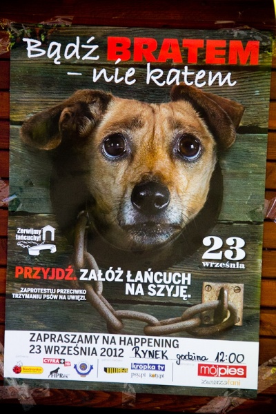 Zdjęcie w galerii na portalu naszraciborz.pl: Zerwijmy łańcuchy. Bądź bratem - nie katem! wiadomości z regionu