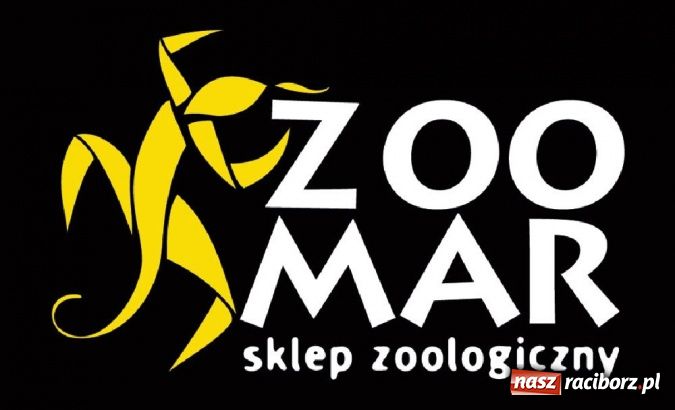 Zdjęcie w galerii na portalu naszraciborz.pl: Kot po kastracji - nie je do końca! wiadomości z regionu