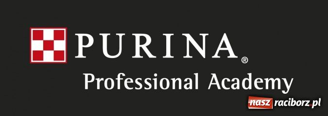 Zdjęcie w galerii na portalu naszraciborz.pl: Kot po kastracji - nie je do końca! wiadomości z regionu