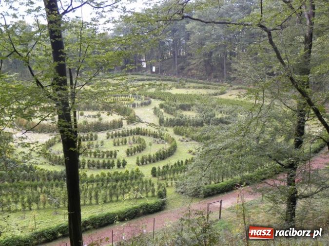 Zdjęcie w galerii na portalu naszraciborz.pl: Festiwal Budo w Zaczarowanym Ogrodzie wiadomości z regionu