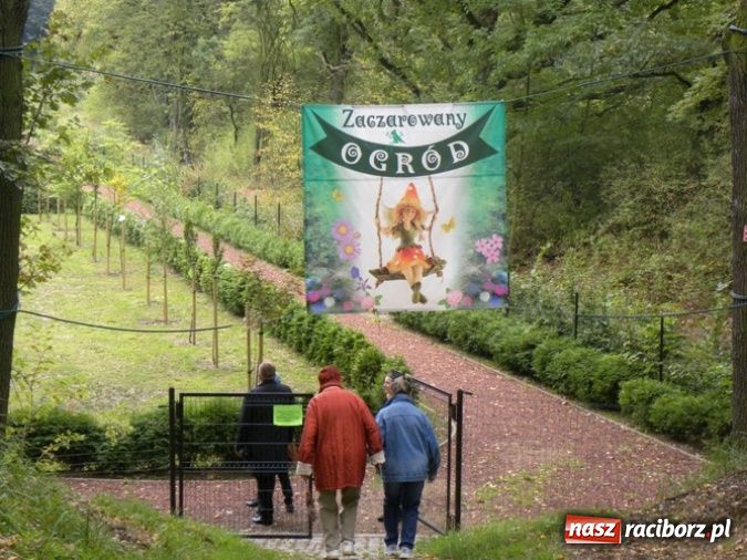 Zdjęcie w galerii na portalu naszraciborz.pl: Festiwal Budo w Zaczarowanym Ogrodzie wiadomości z regionu