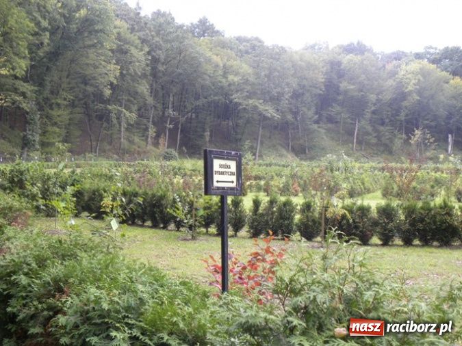 Zdjęcie w galerii na portalu naszraciborz.pl: Festiwal Budo w Zaczarowanym Ogrodzie wiadomości z regionu