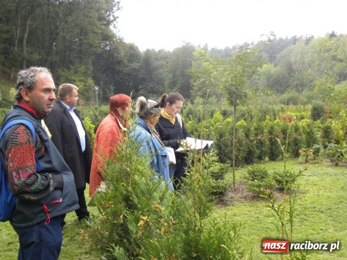 Zdjęcie w galerii na portalu naszraciborz.pl: Festiwal Budo w Zaczarowanym Ogrodzie wiadomości z regionu