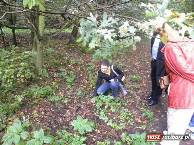 Zdjęcie w galerii na portalu naszraciborz.pl: Festiwal Budo w Zaczarowanym Ogrodzie wiadomości z regionu