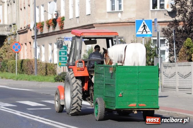 Zdjęcie w galerii na portalu naszraciborz.pl: Parada karetek ratownictwa medycznego ulicami Raciborza - zobacz wideo wiadomości z regionu