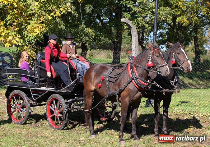 Zdjęcie w galerii na portalu naszraciborz.pl: W Krowiarkach żegnano lato Hubertusem wiadomości z regionu