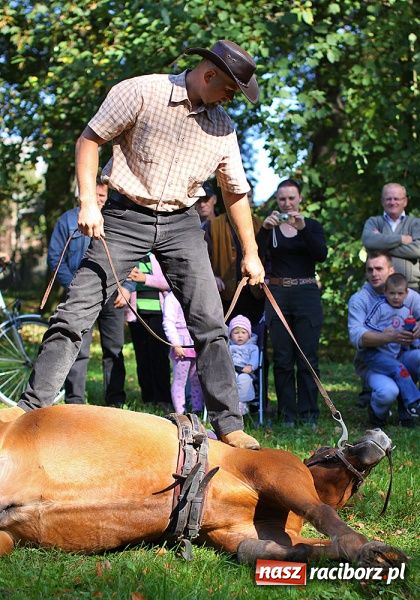Zdjęcie w galerii na portalu naszraciborz.pl: W Krowiarkach żegnano lato Hubertusem wiadomości z regionu