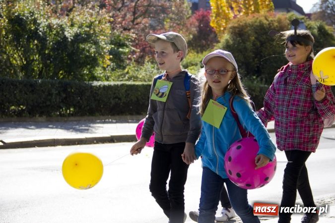 Zdjęcie w galerii na portalu naszraciborz.pl: Polsko-czeski happening na raciborskim Rynku wiadomości z regionu
