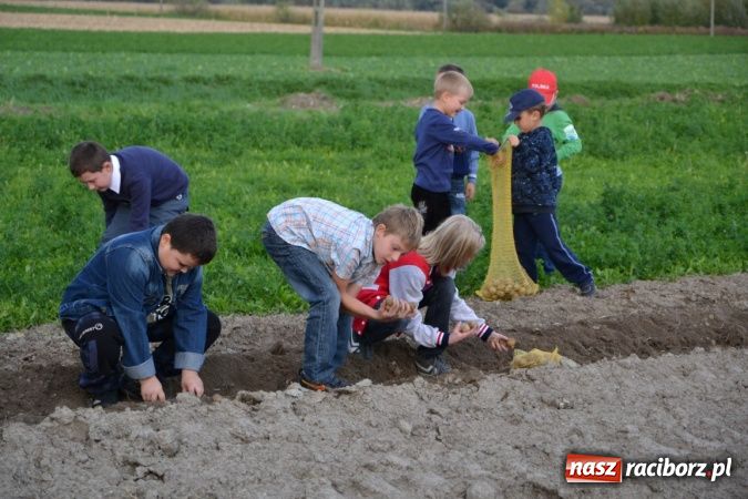 Zdjęcie w galerii na portalu naszraciborz.pl: Miłośniczki i miłośnicy oldtimerów kończą sezon w Zabełkowie wiadomości z regionu