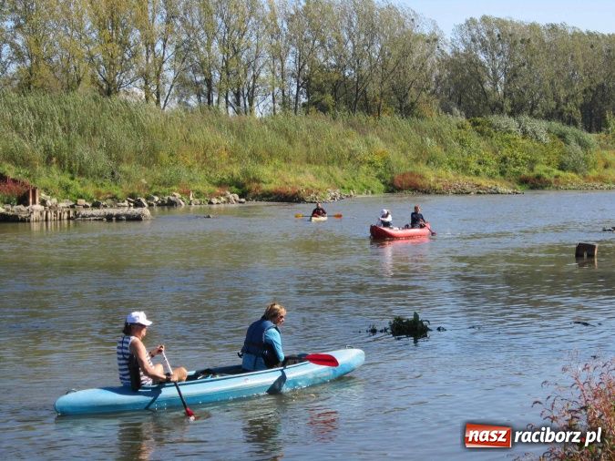 Zdjęcie w galerii na portalu naszraciborz.pl: Finał sezonu wodniaków na Meandrach Odry wiadomości z regionu