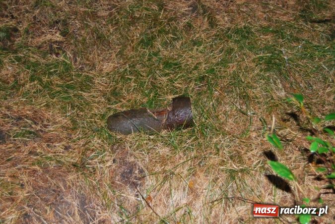 Zdjęcie w galerii na portalu naszraciborz.pl: Skorodowana śmierć nadal czyha w lesie wiadomości z regionu