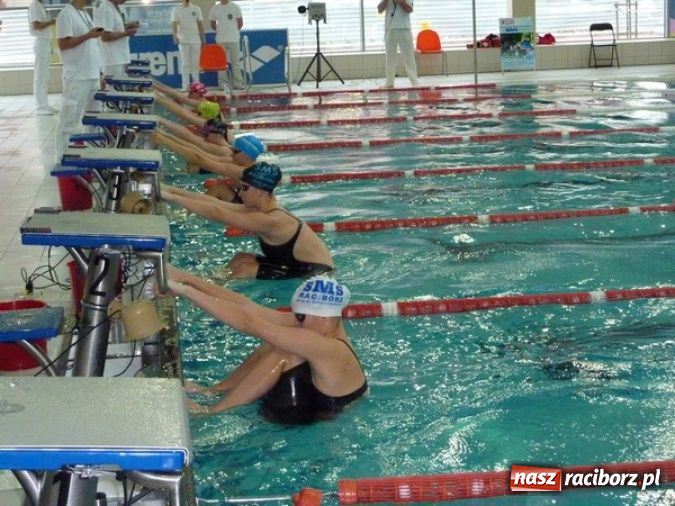 Zdjęcie w galerii na portalu naszraciborz.pl: Pływanie - Pierwsze Grand Prix wiadomości z regionu