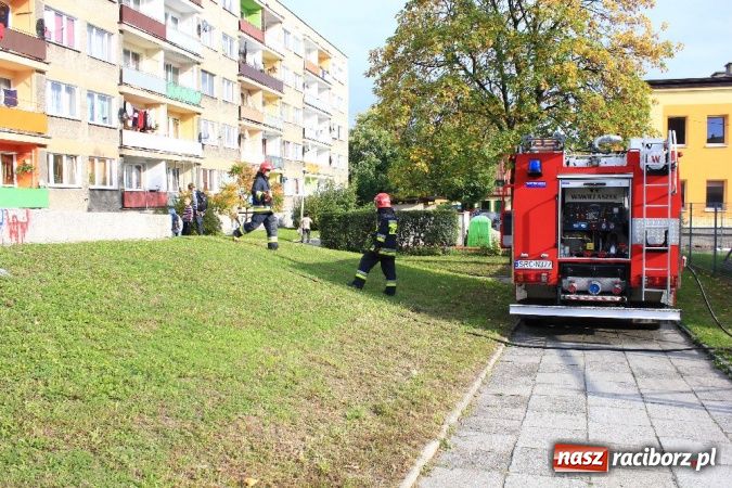 Zdjęcie w galerii na portalu naszraciborz.pl: Zabawa dzieci zmobilizowała służby przeciwpożarowe wiadomości z regionu