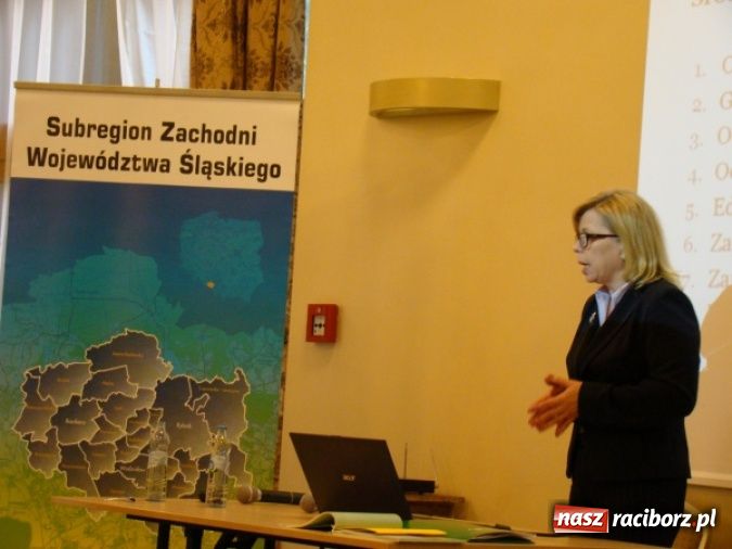 Zdjęcie w galerii na portalu naszraciborz.pl: Eko-konsultacje z samorządami   wiadomości z regionu